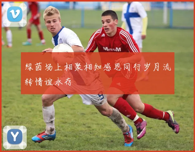 绿茵场上相聚相知感恩同行岁月流转情谊永存