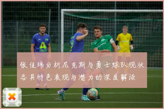 张佳玮分析尼克斯与勇士球队现状各具特色表现与潜力的深度解读